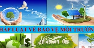 Năm 2025, Quốc hội sẽ giám sát tối cao chuyên đề về bảo vệ môi trường