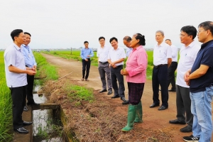 Khát vọng Supe Lâm Thao