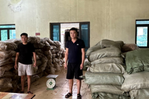 Phát hiện, tạm giữ trên 5 tấn thuốc lá sấy khô không rõ nguồn gốc xuất xứ