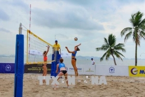 Tăng cường quản lý thực hiện chế độ, chính sách cho VĐV, HLV các đội tuyển quốc gia