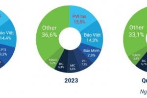 PVI đứng đầu danh sách Top 10 công ty bảo hiểm phi nhân thọ uy tín năm 2024