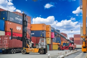 Kim ngạch xuất nhập khẩu Tuyên Quang đạt khoảng 60 triệu USD trong 6 tháng năm 2024