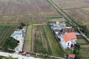 Có được tự do chuyển đất nông nghiệp sang đất phi nông nghiệp?