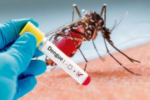 Ghi nhận trên 400 trường hợp mắc sốt xuất huyết Dengue tại Đắk Lắk