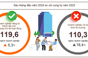 Sáu tháng đầu năm, cả nước có gần 80,5 nghìn doanh nghiệp đăng ký thành lập mới