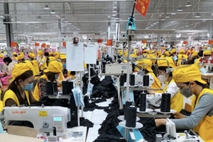 Chỉ số sản xuất công nghiệp của Nghệ An tăng trưởng mạnh trong 6 tháng