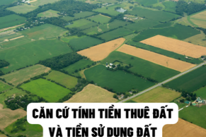 Quy định về tiền sử dụng đất, tiền thuê đất trong các lĩnh vực sẽ như thế nào?