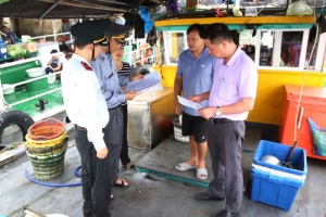 Quảng Ninh còn 1.489 tàu cá có chiều dài lớn nhất từ 6m trở lên chưa đăng ký theo quy định