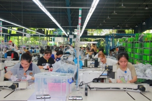 6 tháng đầu năm, tỉnh Nam Định thu ngân sách trên 5.000 tỷ đồng