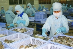 Thủy sản Việt Nam "đắt khách" tại Trung Quốc và ASEAN