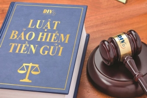 Những quy định mới về chính sách Bảo hiểm tiền gửi ở Luật Các tổ chức tín dụng 2024 như thế nào?