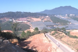 Thịnh Phát Hoàn Cầu muốn rót vốn vào dự án 1.000ha tại Lâm Đồng