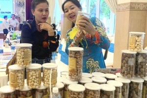 Kết nối giao thương giữa hai tỉnh Bình Thuận và Đắk Lắk