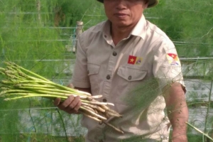 Khi người nông dân Thái Bình sở hữu nông trại tiền tỷ từ canh tác nông nghiệp hữu cơ