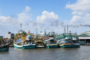 Bà Rịa – Vũng Tàu tăng cường công tác phòng, chống thiên tai chuyên ngành thủy sản năm 2024