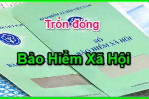 Phó Thủ tướng Lê Minh Khái yêu cầu xử lý phản ánh về việc doanh nghiệp chậm đóng, trốn đóng bảo hiểm xã hội
