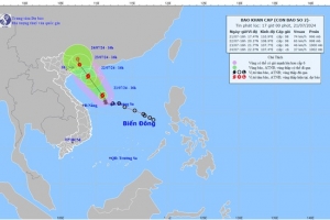 Quảng Ninh: Tăng cường chỉ đạo phòng, chống, ứng phó với cơn bão số 2