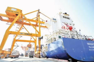Xuất khẩu phục hồi tích cực