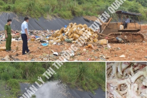 Tuyên Quang tiêu hủy hơn 5 tấn chân gà đông lạnh không rõ nguồn gốc xuất xứ