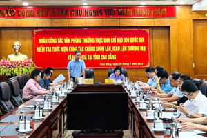 Văn phòng Thường trực Ban Chỉ đạo 389 quốc gia làm việc với tỉnh Cao Bằng