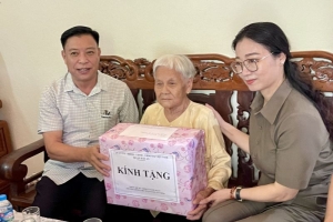 Hải Phòng: Đạt nhiều kết quả trong công tác giải quyết chế độ chính sách