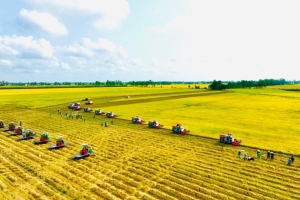 Agribank: Nhiều giải pháp ưu tiên vốn cho nông nghiệp công nghệ cao