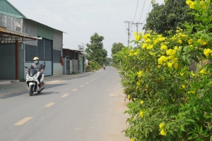Long An đấu thầu tìm nhà đầu tư cho dự án hơn 11.000 tỷ đồng.
