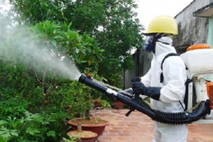 Ca mắc sốt xuất huyết liên tục tăng