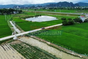 Khoảng hơn 9.838 ha cây trồng tại Thanh Hóa có nguy cơ ngập úng do ảnh hưởng của bão số 3 Yagi