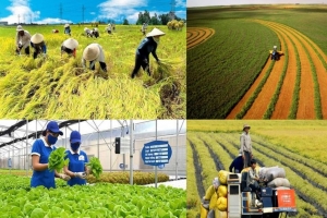 Kinh tế Việt Nam: Điểm nhấn từ chính sách điều hành