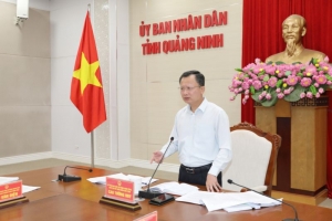 Quảng Ninh: Xây dựng kế hoạch phát triển đội tàu nhà hàng trên Vịnh Hạ Long