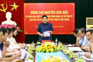 Bắc Giang đã thi hành kỷ luật 37 tổ chức đảng, 2.377 đảng viên