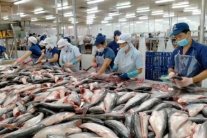 Xuất khẩu thủy sản trong tháng 7/2024 ước tính đạt trên 885 triệu USD, tăng gần 14% so với cùng kỳ