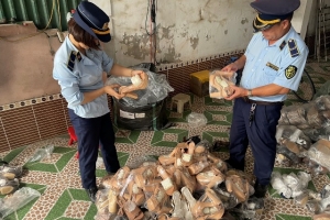 Một cơ sở kinh doanh tại Hà Tĩnh bị xử phạt 27,5 triệu đồng vì buôn bán “hàng nhái”