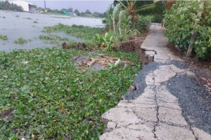 Long An thực hiện công tác phòng, chống sạt lở bờ sông, kênh, rạch