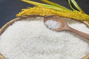 Giá lúa gạo hôm nay 14/8: Tăng mạnh với lúa và gạo