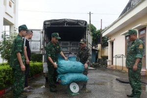 Phát hiện, xử lý một vụ vận chuyển 250 kg chân lợn đông lạnh không rõ nguồn gốc