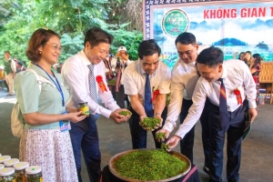 Quảng Nam lần đầu tổ chức Lễ hội Ớt A Riêu thương hiệu riêng của huyện Đông Giang