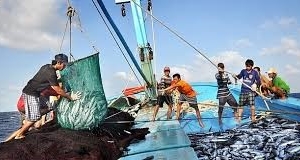 Bà Rịa – Vũng Tàu tập trung triển khai thực hiện công tác chống khai thác IUU