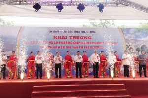 Khai trương khu trưng bày, giới thiệu sản phẩm nông nghiệp, công nghiệp tại Thanh Hóa