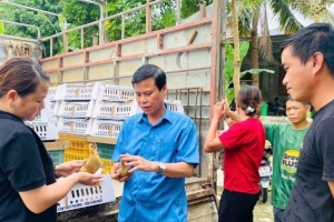 Bàn giao con giống và vật tư chăn nuôi cho người dân tại Thanh Hóa