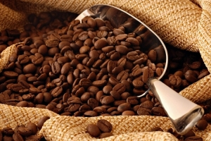 Giá cà phê hôm nay 9/2: Tiếp tục giảm 1,000 đồng/kg