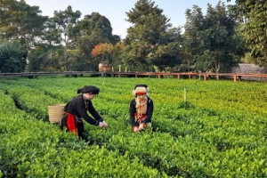 Bắc Giang hỗ trợ hơn 15,2 tỷ đồng để người dân nâng cao thu nhập trong xây dựng nông thôn mới