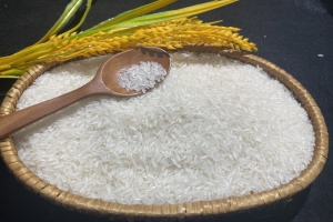Giá lúa gạo hôm nay 20/8: Biến động trái chiều