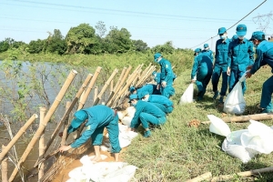 Đồng Tháp đảm bảo an toàn hệ thống đê điều, ứng phó với mưa lũ