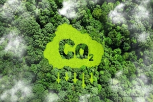 Dự kiến, năm 2028, sàn giao dịch tín chỉ carbon tại Việt Nam được đưa vào vận hành