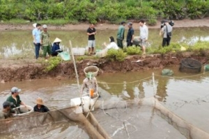 Nam Định: Người dân đồng thuận bàn giao mặt bằng cho Công ty CP Xuân Thiện