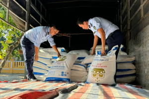 Tạm giữ 16 tấn đường cát do Thái Lan sản xuất không có hóa đơn chứng từ