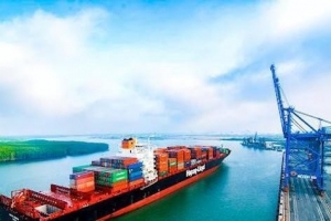 Cảng Phước An: Không bán hết cổ phiếu, muốn điều chỉnh kế hoạch sử dụng vốn