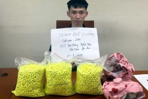 Triệt xóa đường dây vận chuyển ma túy từ TP. HCM ra Hà Nội